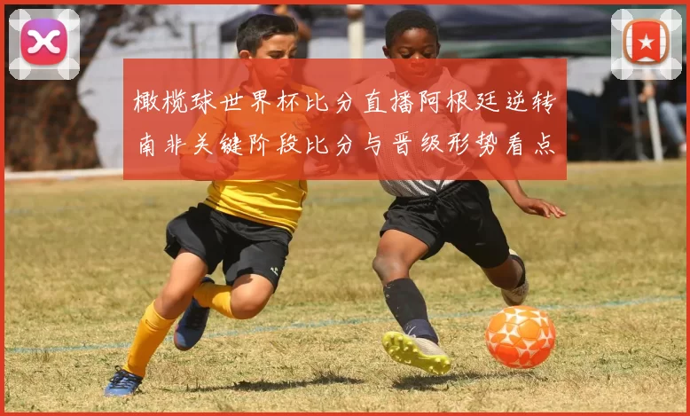橄榄球世界杯比分直播阿根廷逆转南非关键阶段比分与晋级形势看点
