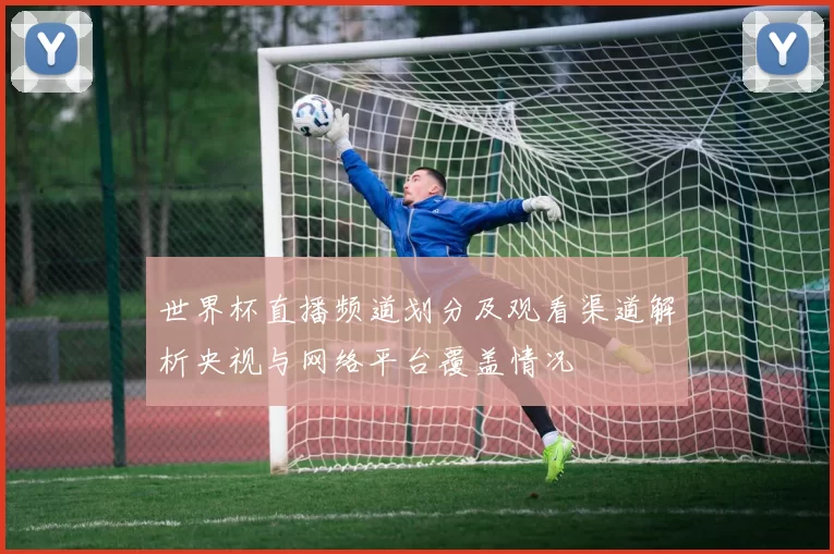 世界杯直播频道划分及观看渠道解析央视与网络平台覆盖情况
