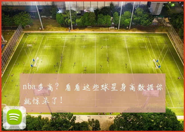 nba多高?看看这些球星身高数据你就惊呆了!